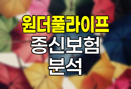 신한생명 원더풀라이프종신보험 핵심 분석