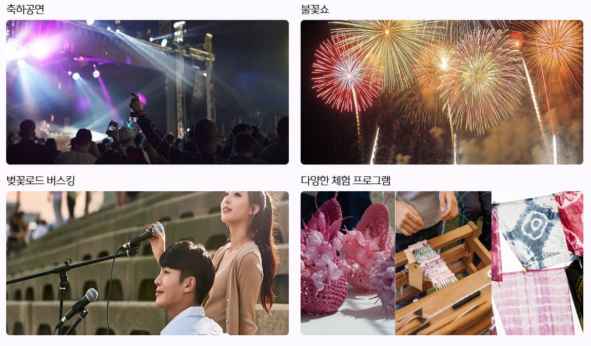 벚꽃축제 봄꽃축제