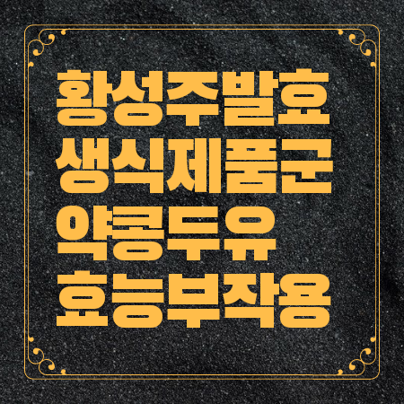 황성주 발효 생식 약콩두유