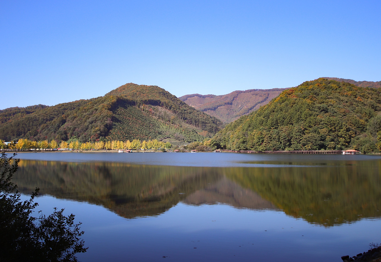 괴산 아파트 단지별 상세 분석 — 실제 거주 기준으로 보는 단지 수준 차이
