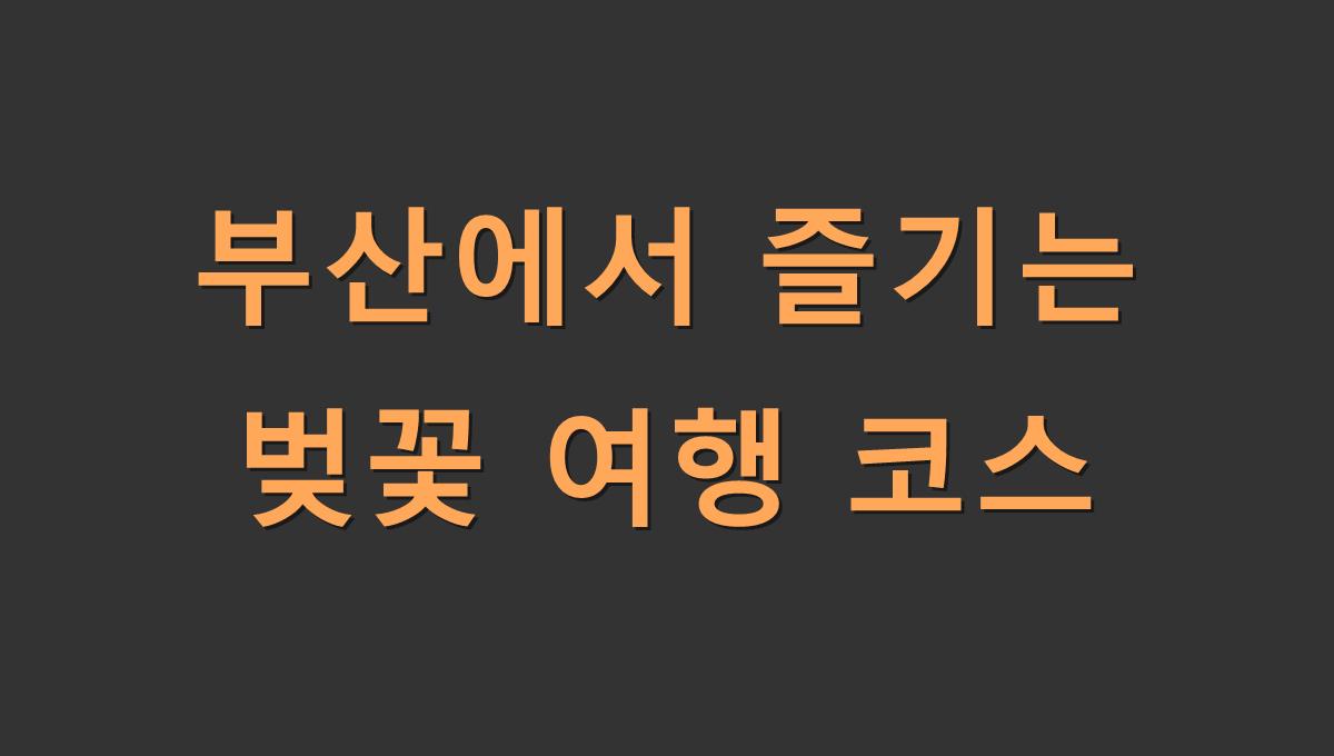 부산에서 즐기는 벚꽃 여행 코스