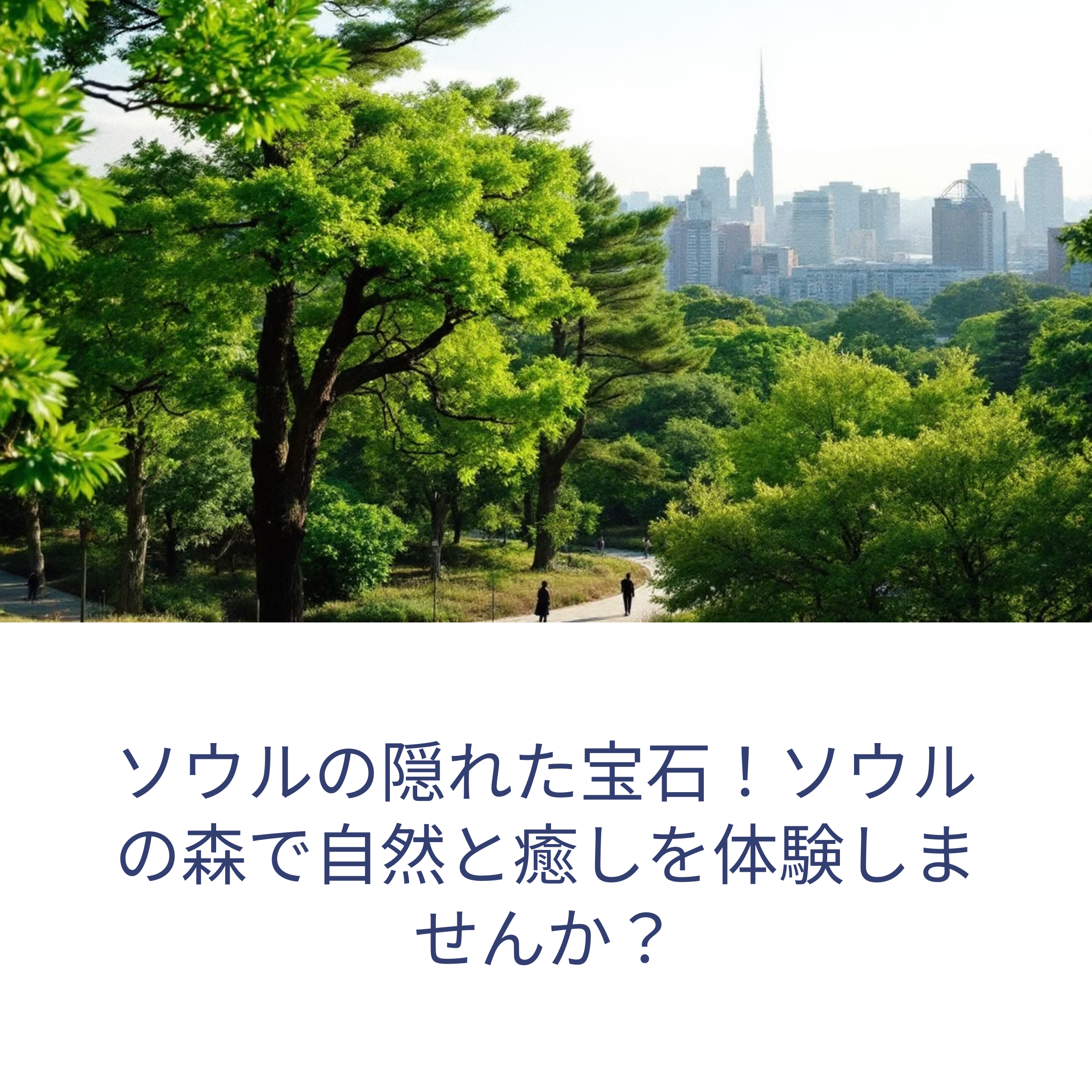 ソウルのオアシス!ソウルの森完全ガイド:おすすめルートと観光のコツ