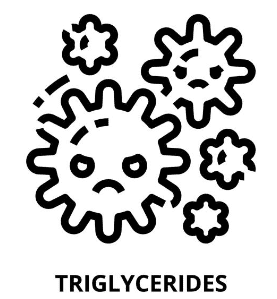 중성지방 낮추는 방법, 중성지방 정상수치