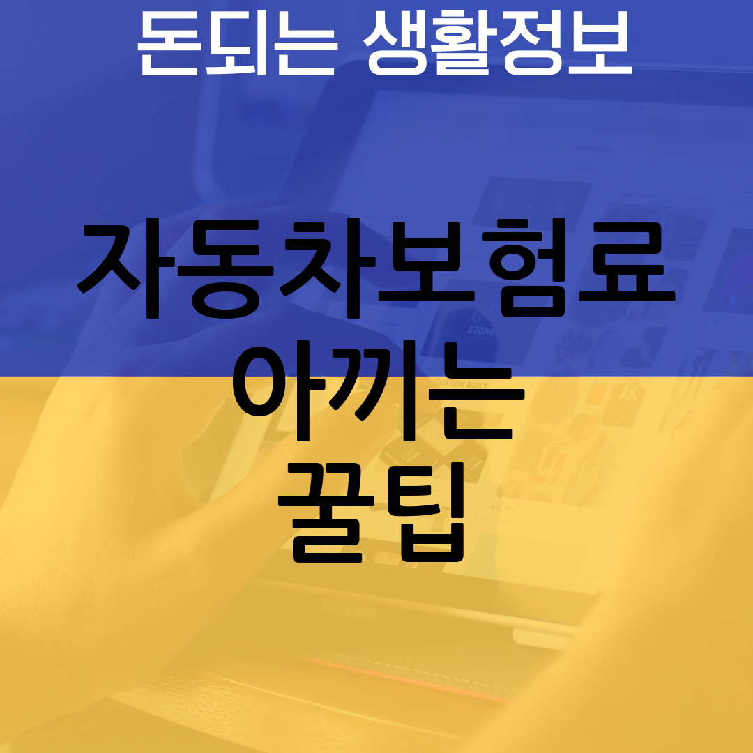 자동차보험