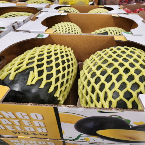 코스트코할인정보