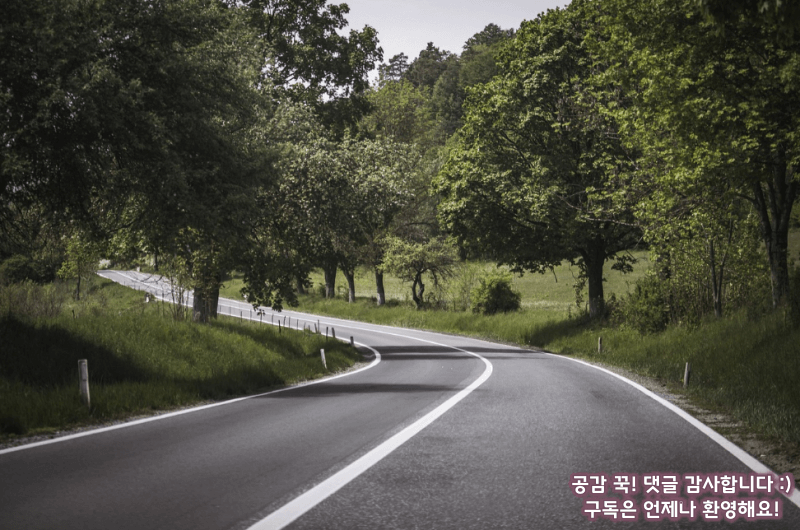 여행 계획 세울때 꿀팁