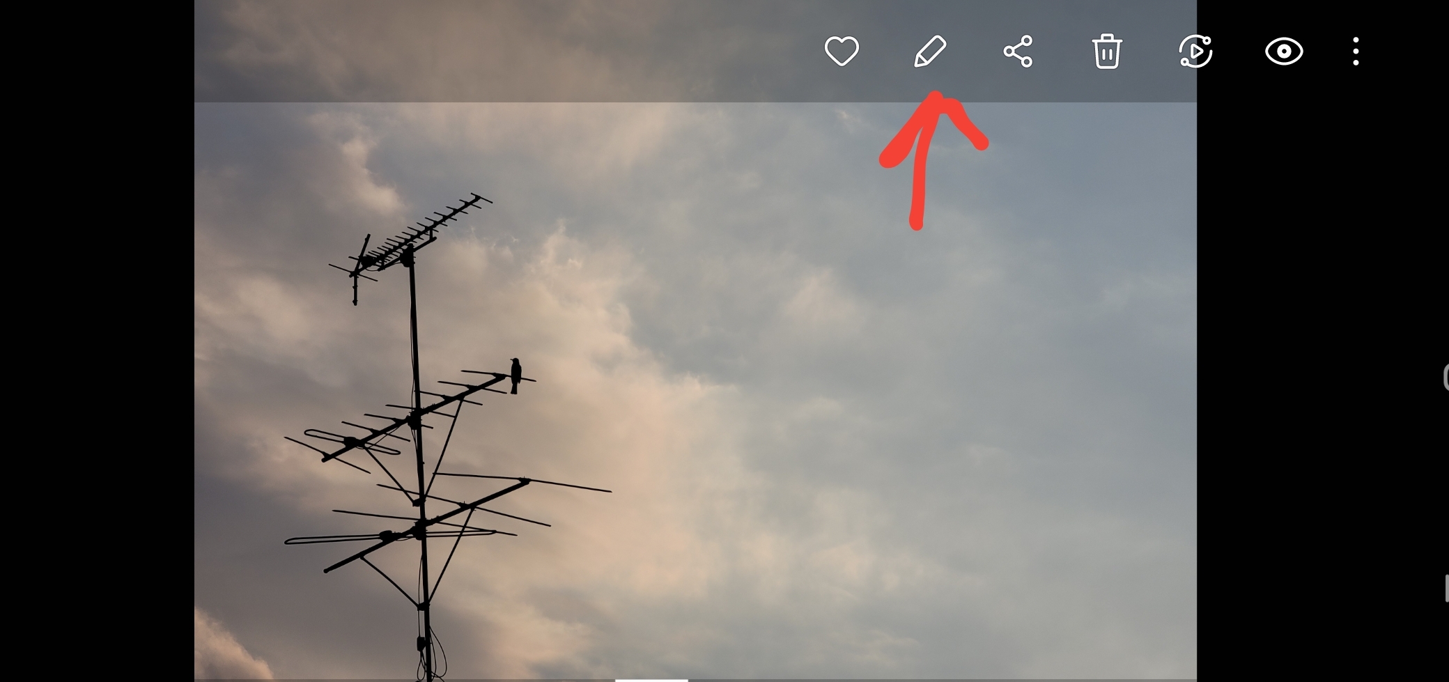 갤럭시 스마트폰에서 사진 편집