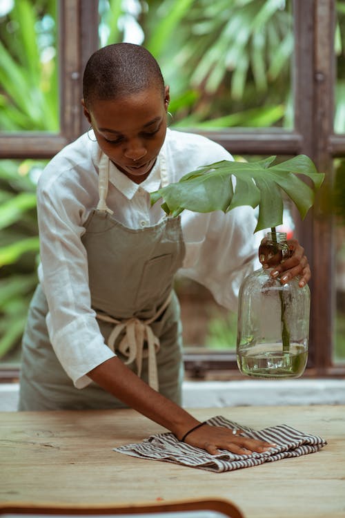 서울형 가사서비스 무료 