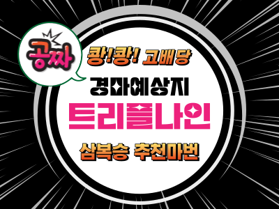 고배당 삼복승 추천마권 트리플나인 무료 경마예상지