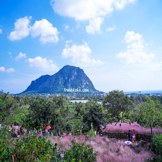 11월 축제 가볼만한곳 베스트10