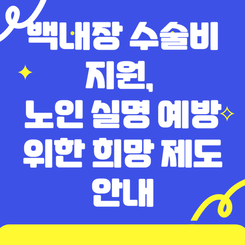 나주 백내장 수술비 지원, 노인 실명 예방 위한 희망 제도 안내