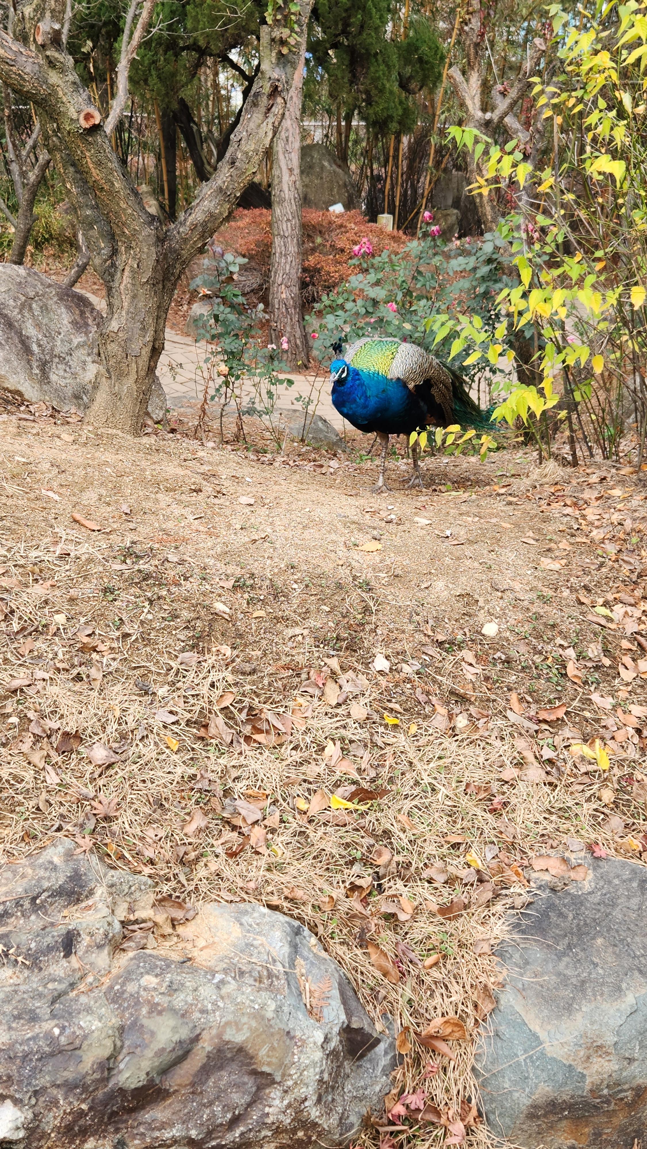 대구-네이처파크