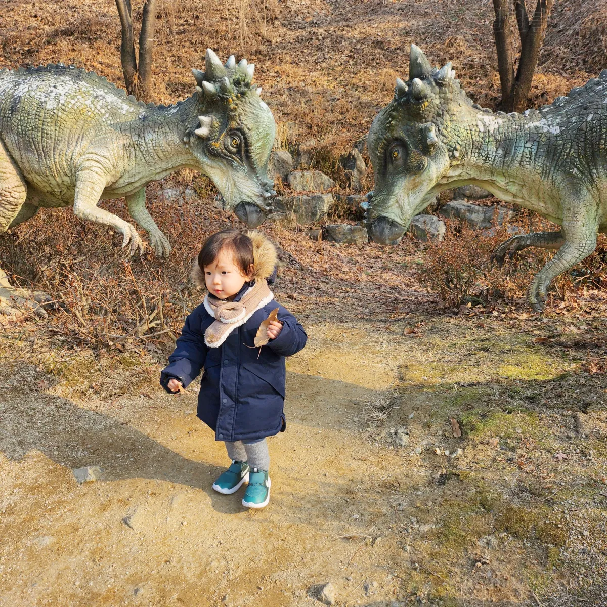 염소먹이-낙엽줍는아이