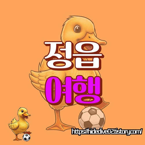 정읍여행을 알아보는 황금오리