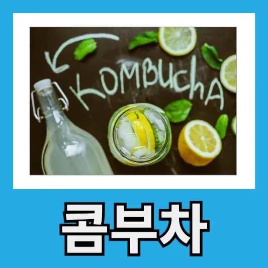 봄철 콤부차 효능 카페인 마시는법 임산부 콤부차 알코올