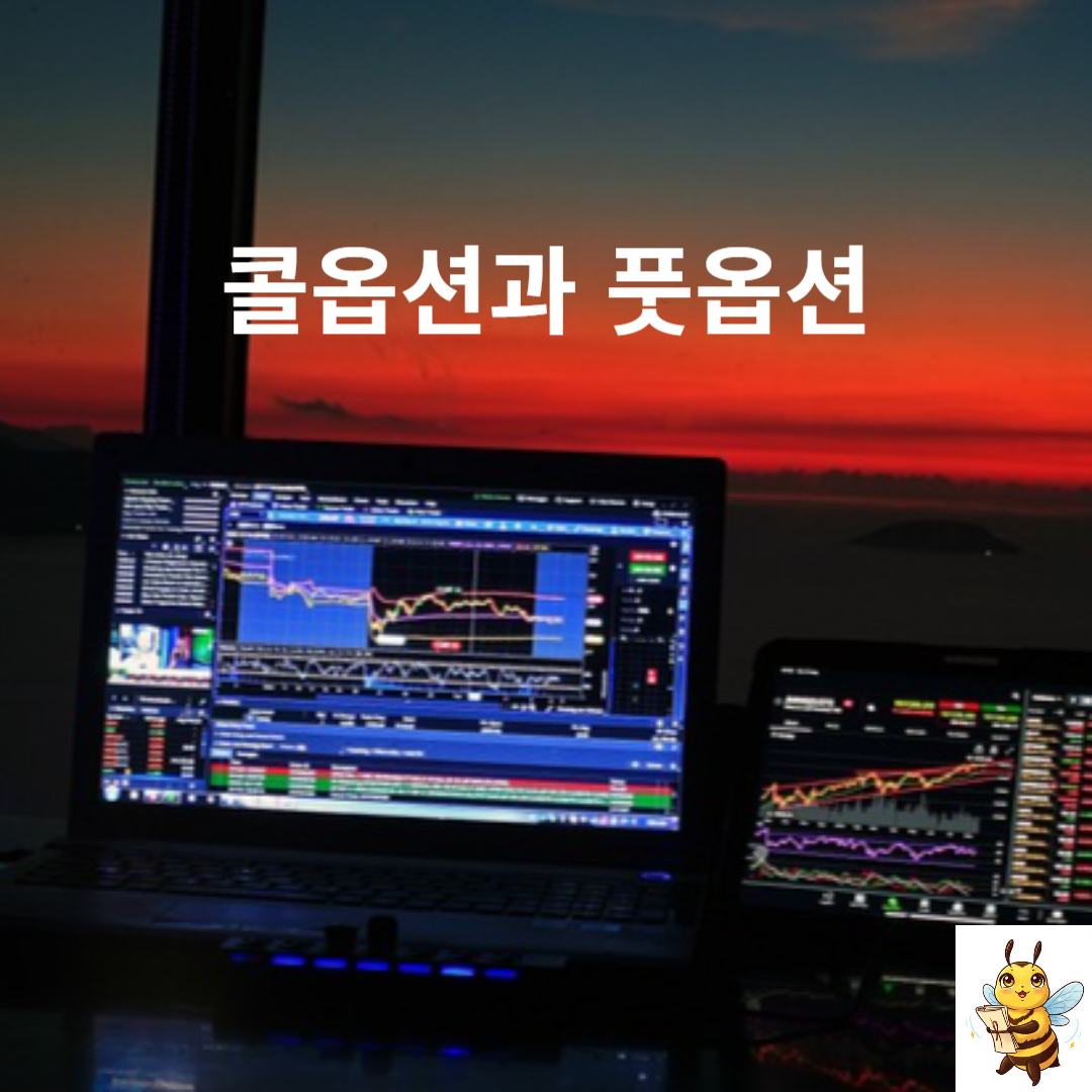 콜옵션과 풋옵션