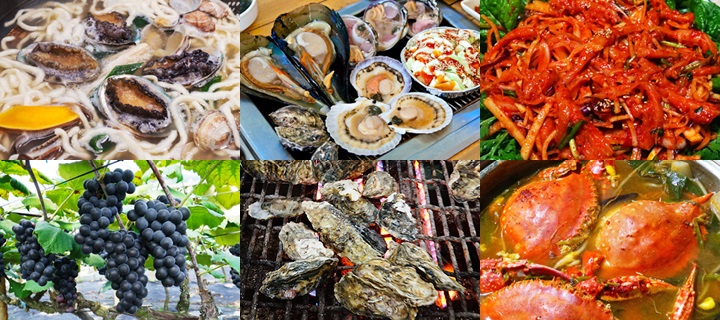 보령시 홈페이지