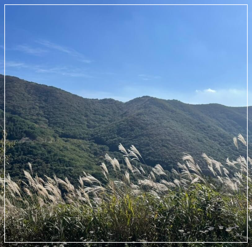 울산 가볼만한곳 베스트10 간월재