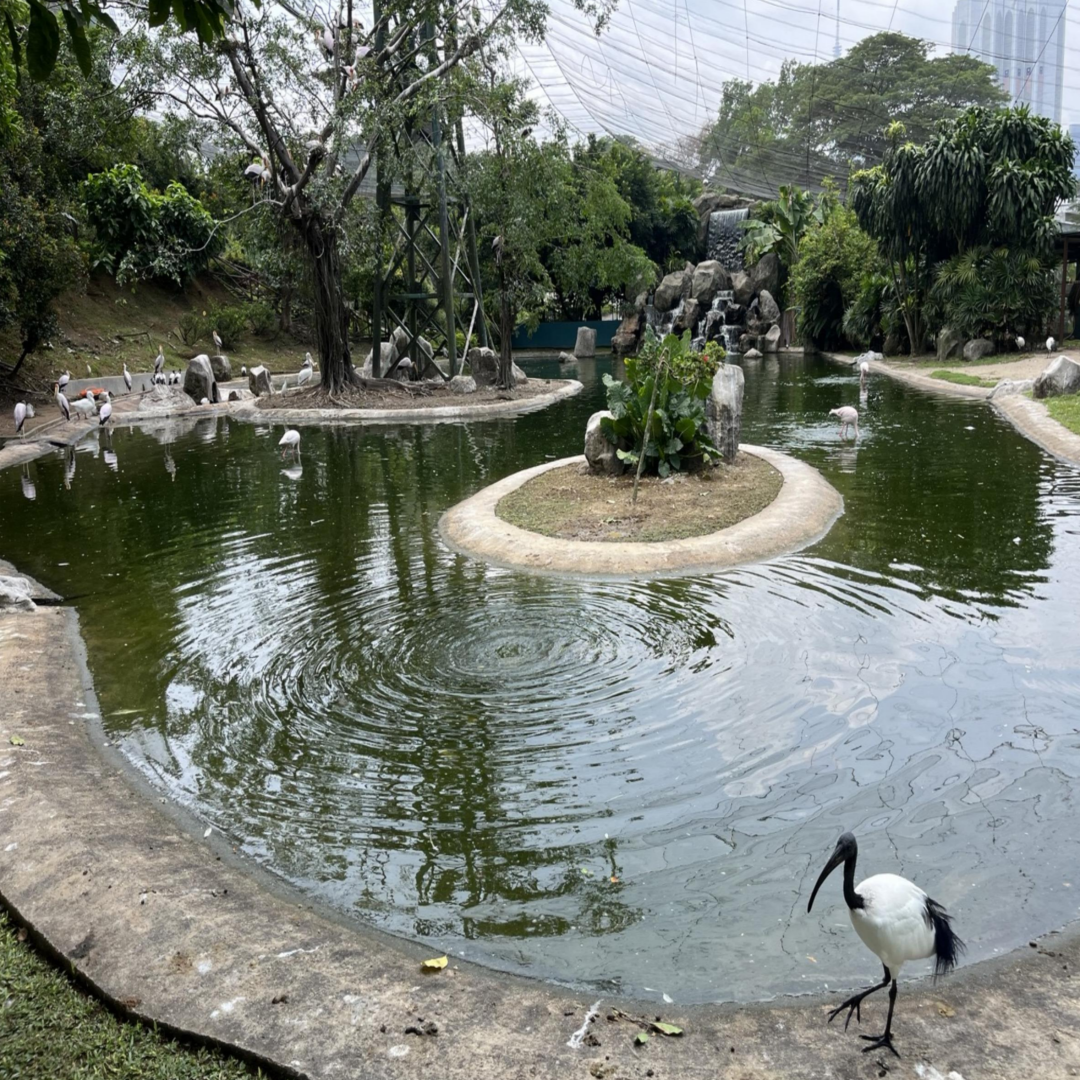 쿠알라룸푸르 여행 관련 사진