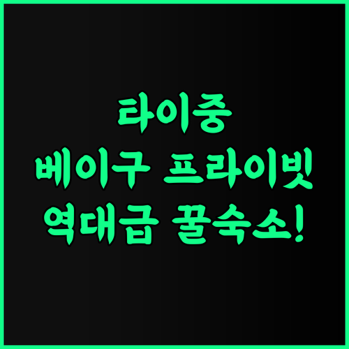 베이 구 프라이빗 하우스 추천 타이중..