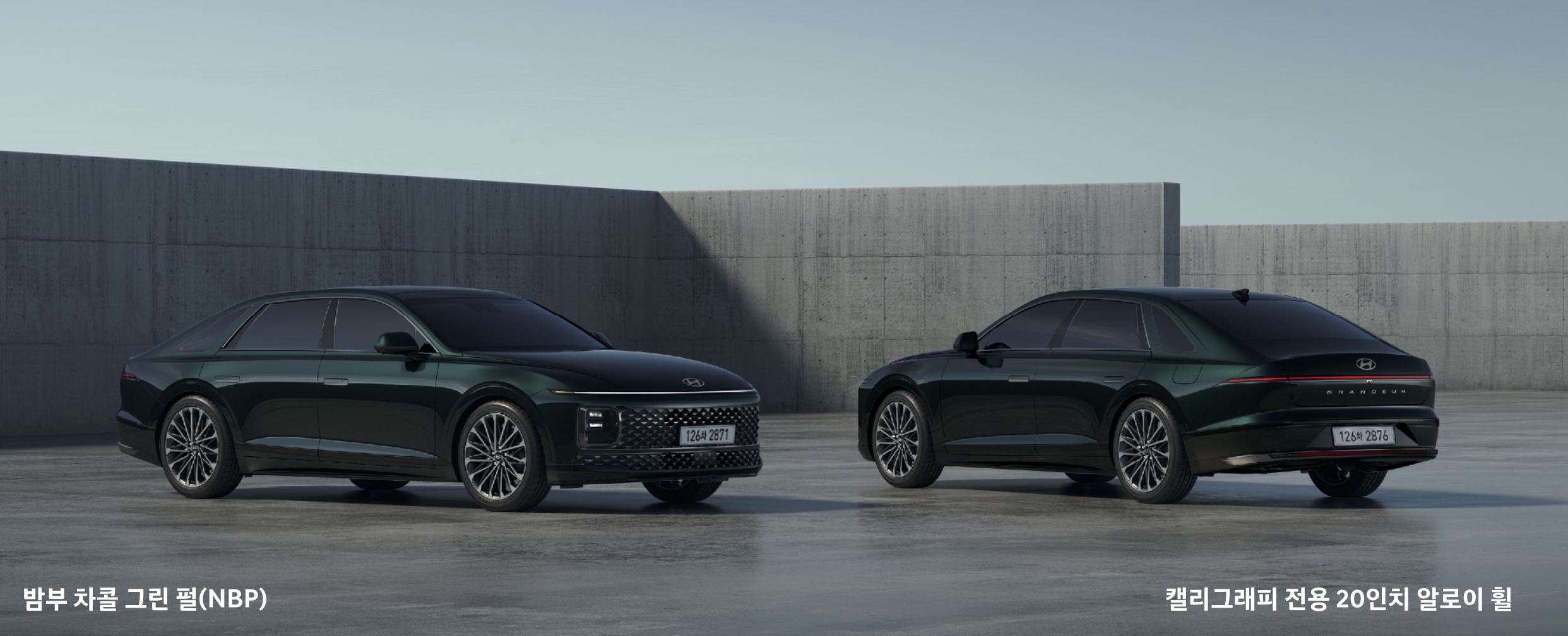 밤부 차몰 그린 펄(색상 코드 : NBP)