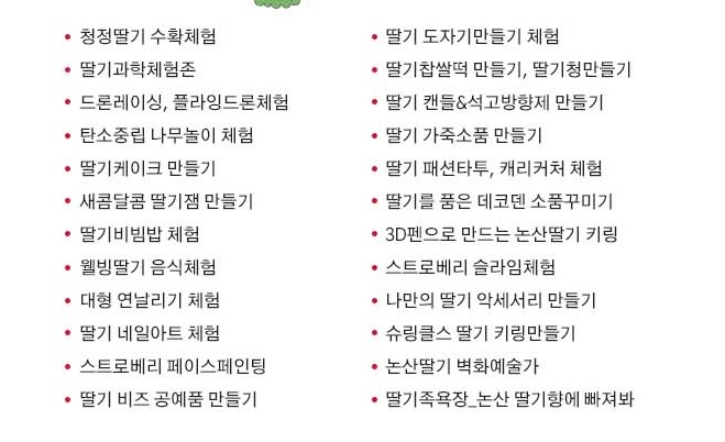 축제 프로그램