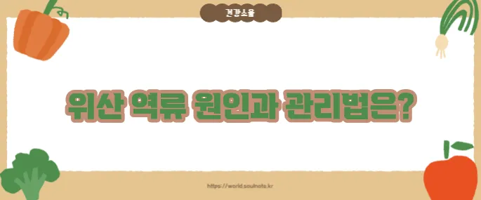위산 역류 증상 (+생활습관 개선법)