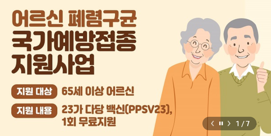 65세이상 노인 혜택