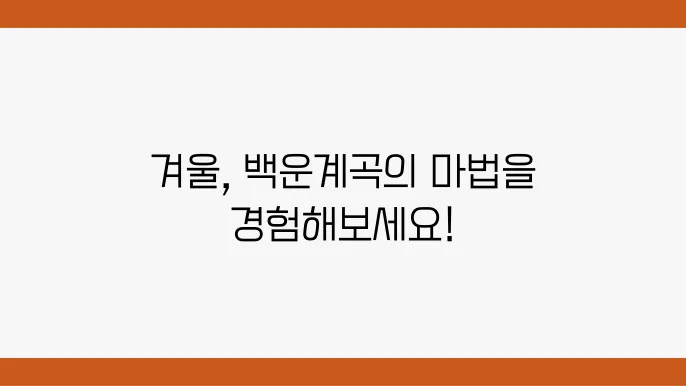 동장군축제: 축제 분위기 속에서의 즐거운 체험