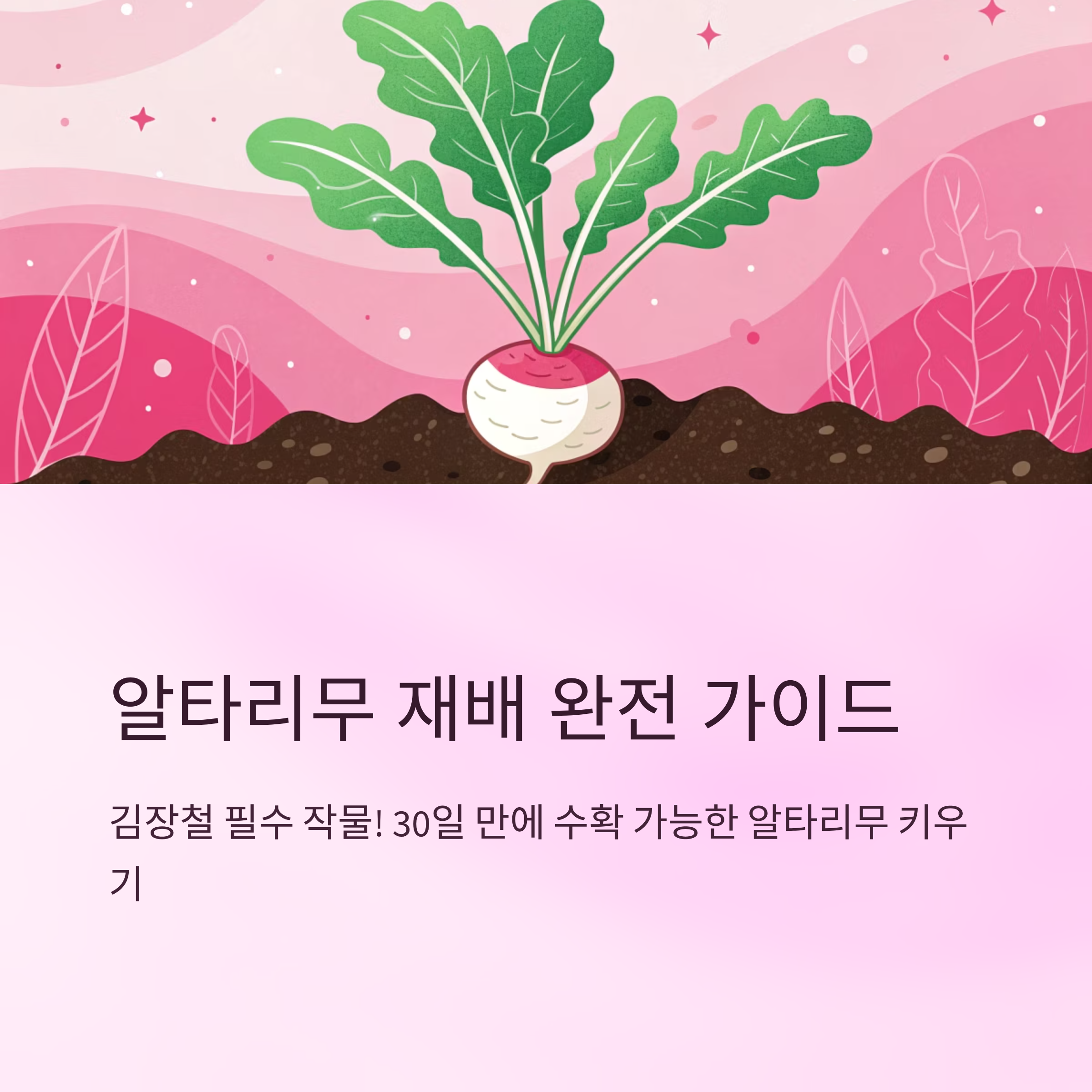알타리무우심는시기 최적 조건과 재배법