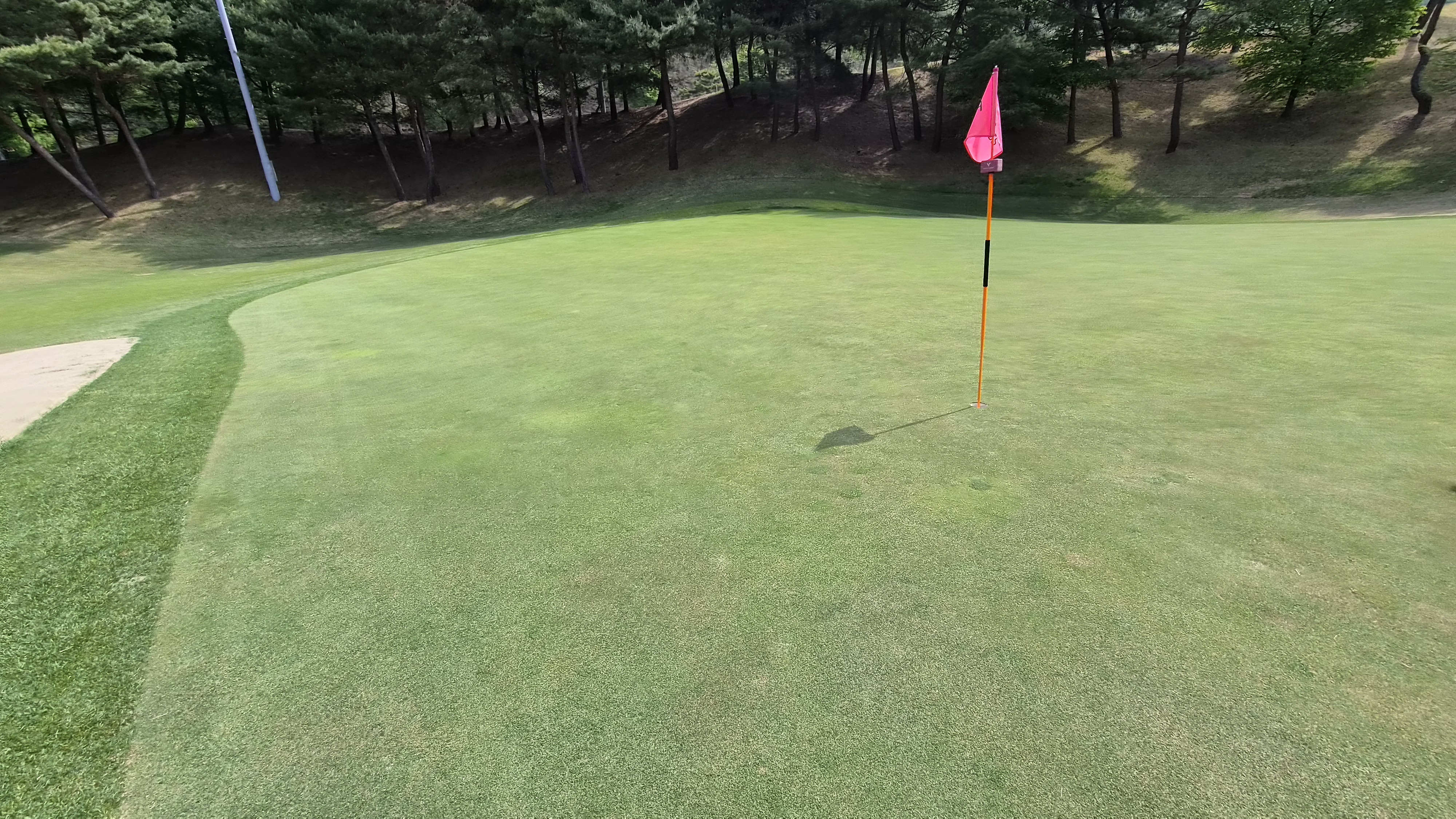 포웰cc 프린세스 라운드 후기