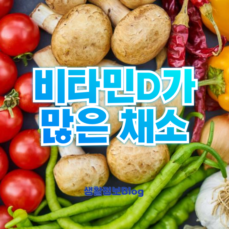 비타민D가 많은 채소