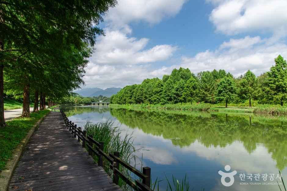 담양 관방제림 담양천 산책로