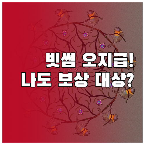 빗썸 오지급 사고 대응 보상안 및 대..