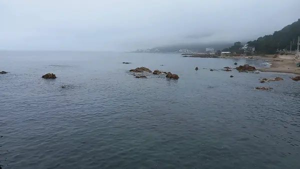 영덕 강구항