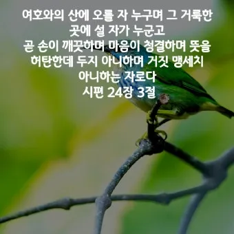 시편 4장 8절 읽기 - 내가 평안히 눕고 자기도 하리니 나를 안전히 살게 하시는 이는 오직 여호와시니이다_16