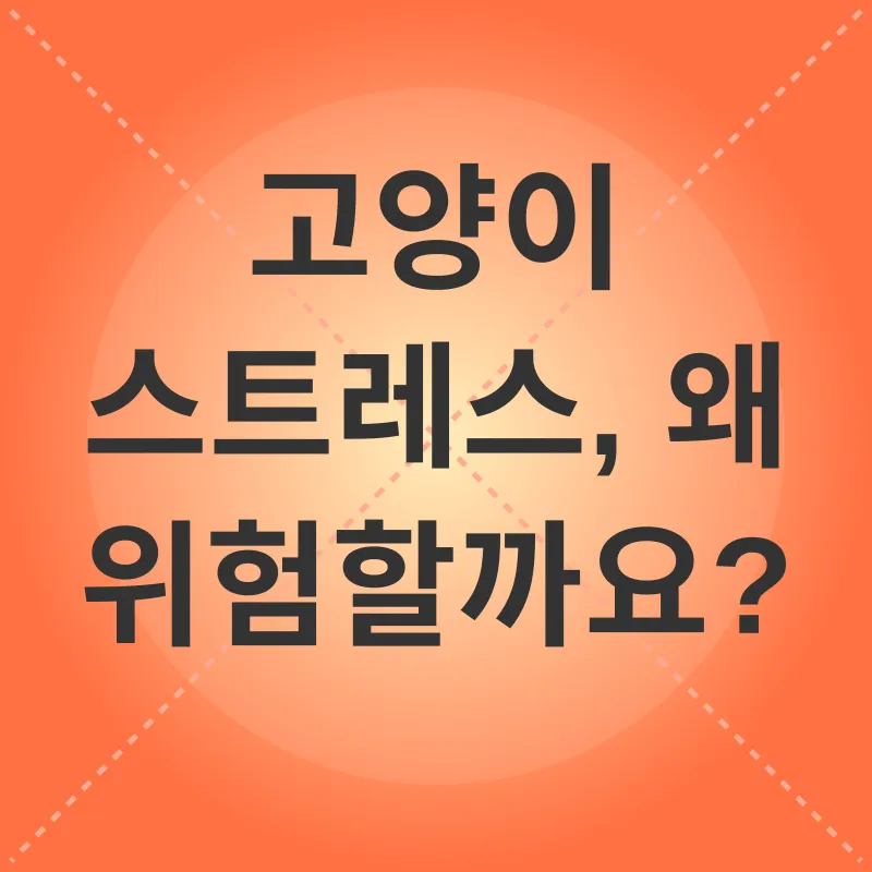 고양이 스트레스 관리_1