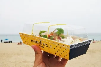 부산 바람 방향 해운대 백사장 일출 시간 체온 유지_34