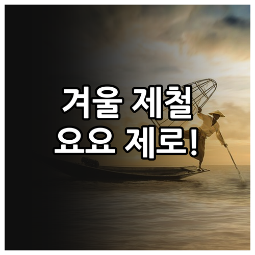 요요 없는 겨울 다이어트 위한 제철 ..
