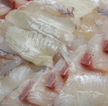 양승호참치왕-회1