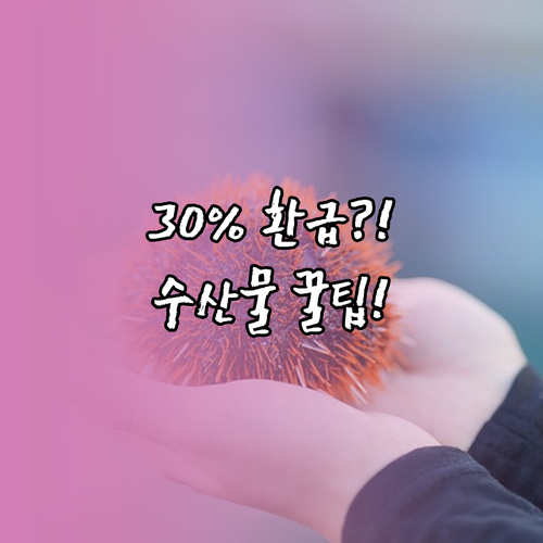 10월 1일부터 5일 전통시장 국산 ..