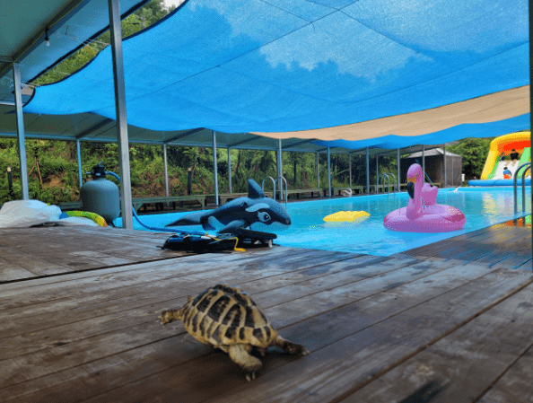 논산훈련소 펜션 논산펜션 추천 best5