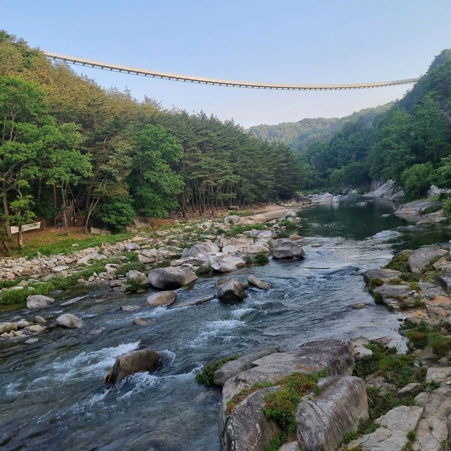 수승대출렁다리