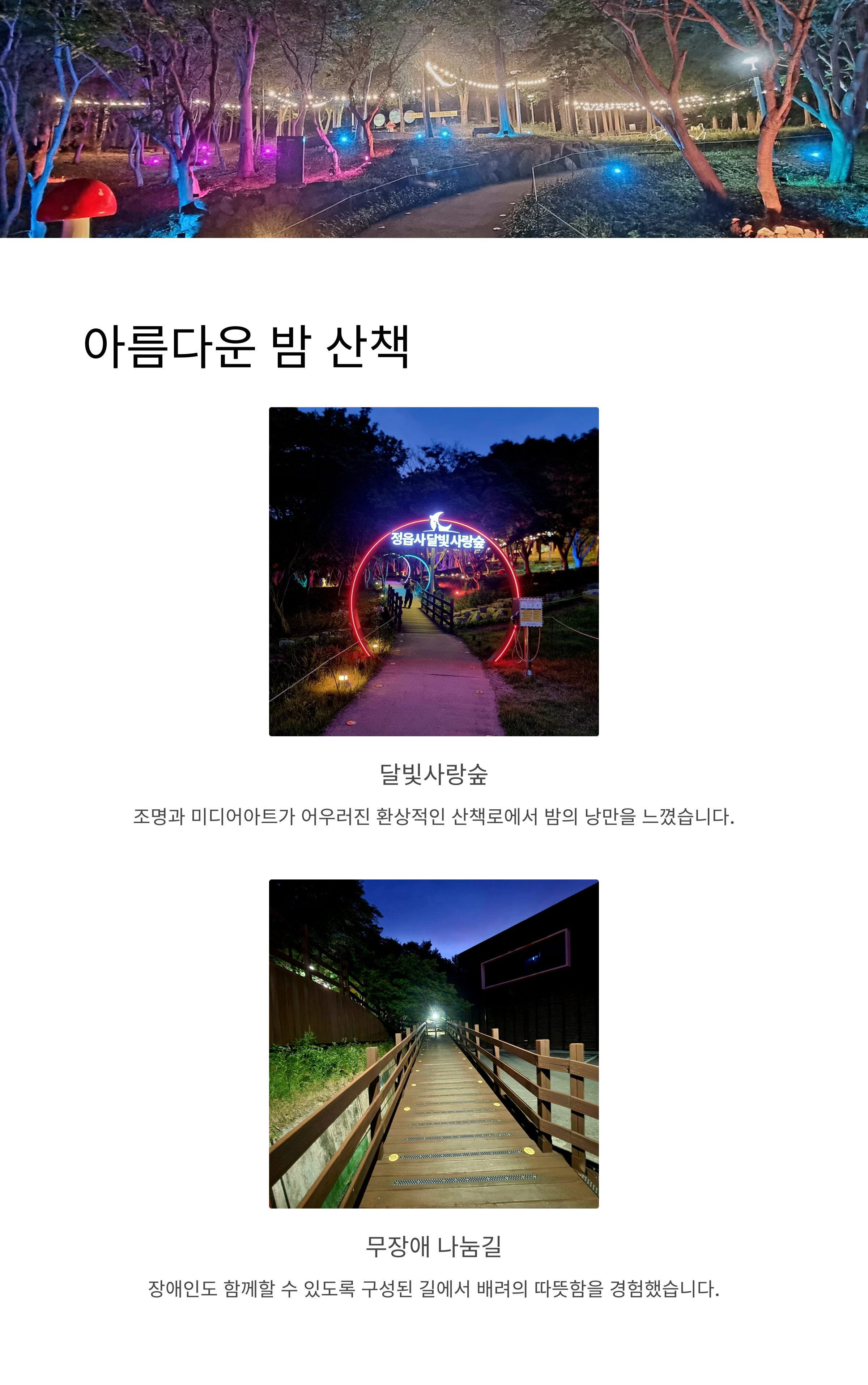 달빛사랑숲 밤 산책