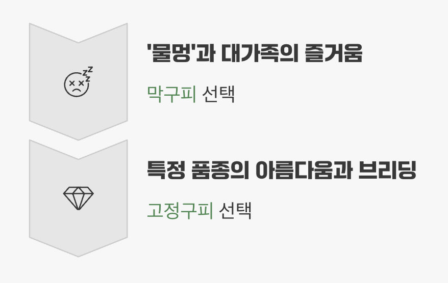 어떤 구피를 선택해야 할까? (나의 사육 목표)