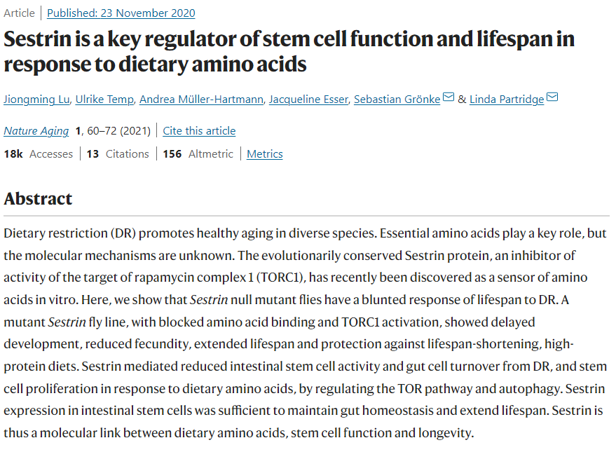 아미노산-초파리노화-논문