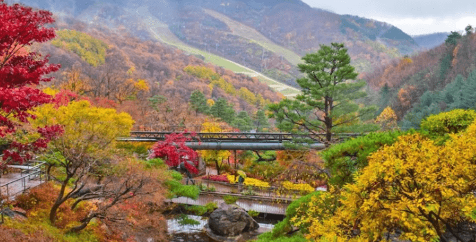 화담숲 가을 단풍 축제