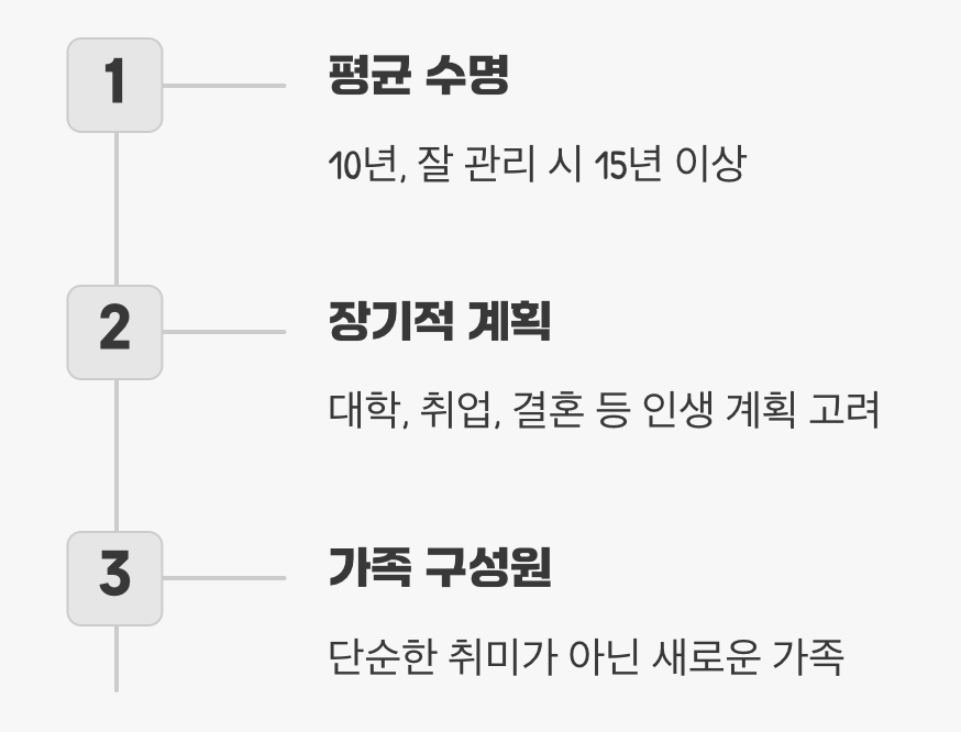 5. 10년을 함께할 '가족'입니다 (수명)