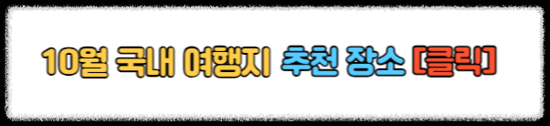 10월 국내 여행지 추천 2024 단풍 국내 여행지 추천 가을꽃 명소