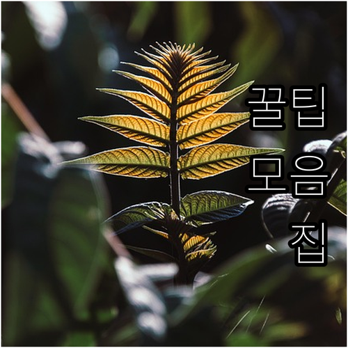 70세 이상 4대 가족이라면 필독! ..